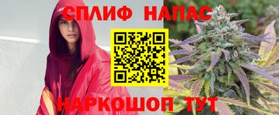 хмурый Кинель