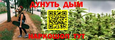 Альфа ПВП Кингисепп