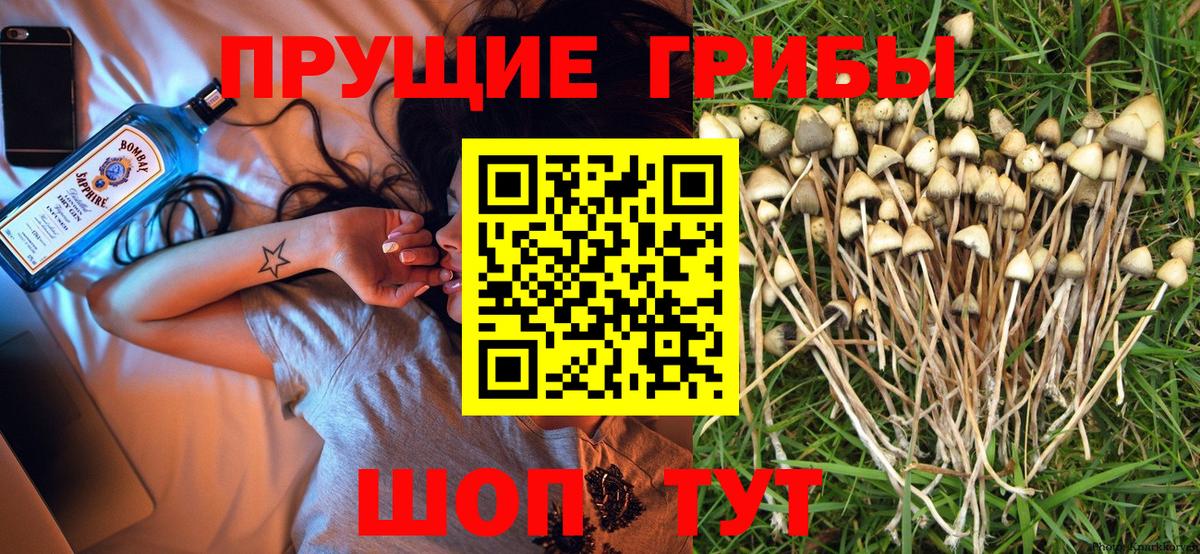 Псилоцибиновые грибы MAGIC MUSHROOMS Ковров